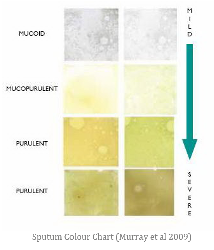 Phlegm Color Chart Uk